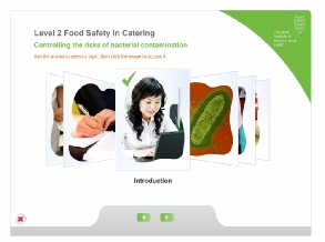 Food Hygiene Certificate